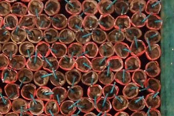 Anwaltskanzlei für Arbeitsrect in Dresden